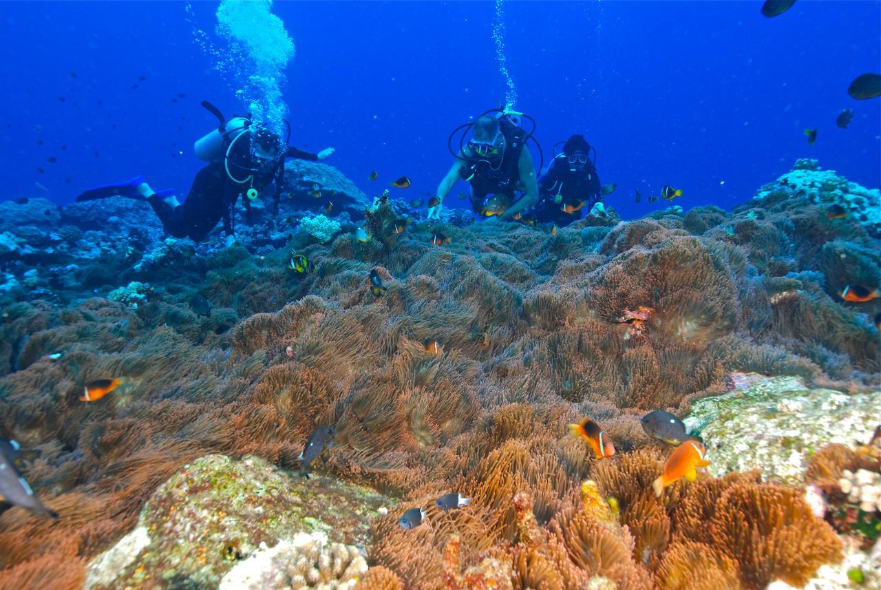 Reef Resort Vava'U Utungake エクステリア 写真